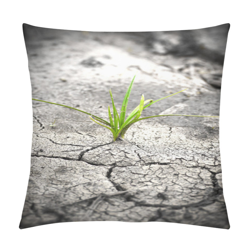 Personality  Plant In Dried Cracked Mud. New Life. Pillow Covers