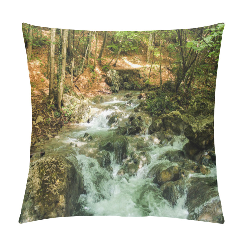 Personality  Forest Landscape Along The Big Crimean Canyon. Pillow Covers