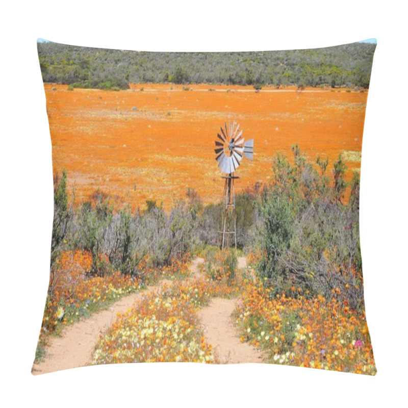 Personality  View Of Skilpad In The Namaqua National Park Pillow Covers