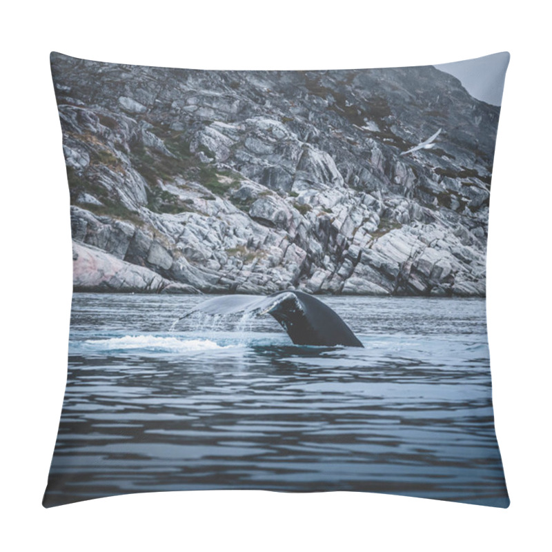 Personality  Humpback Whale Showing White Fin In Atlantic Ocean Near Ilulissat. Diving In The Ocean And Feeding. Blue Water And Blow. Photo Taken In Greenland Disko Bay Island. Pillow Covers