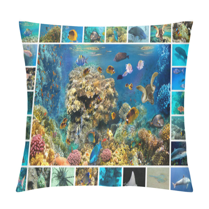 Personality  The Collage Of Underwater Images. Collection Of Tropical Fishes. Catalog From Coral Fish - Picasso Trigger Fish, Grouper, Clownfish And Other Pillow Covers