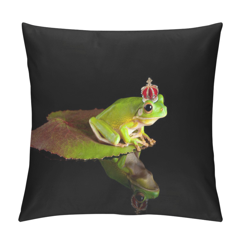 Personality  Frog Prince On Leaf Pillow Covers