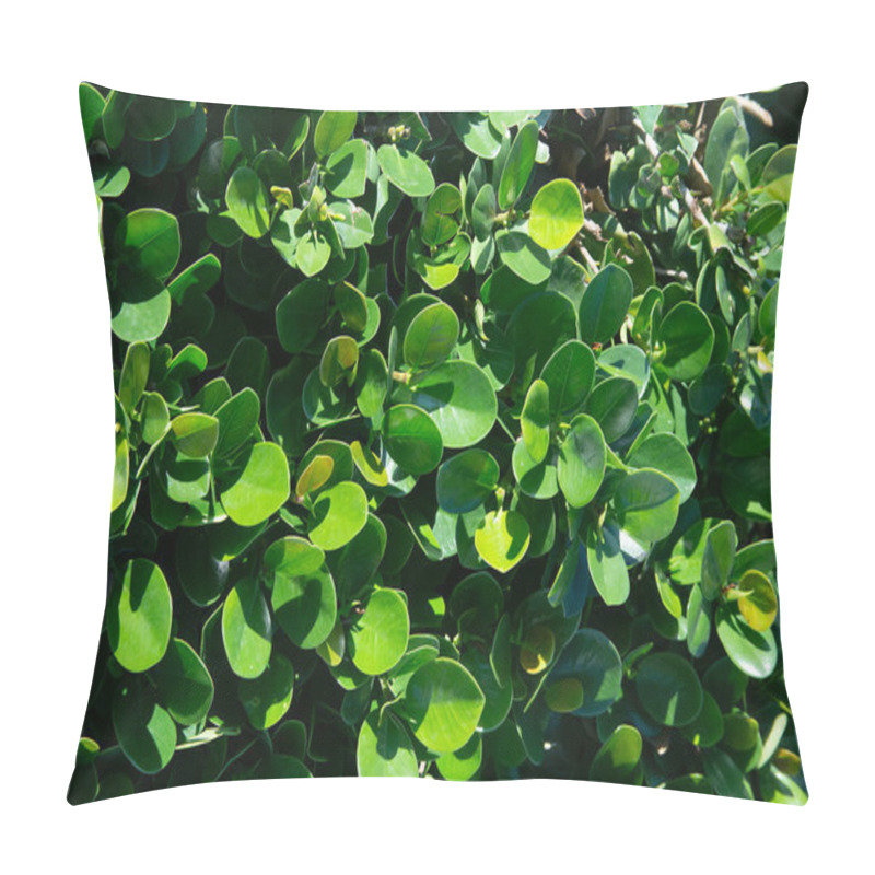 Personality  Bright Green Summer Vegetal Background, Texture, Close-up Pillow Covers