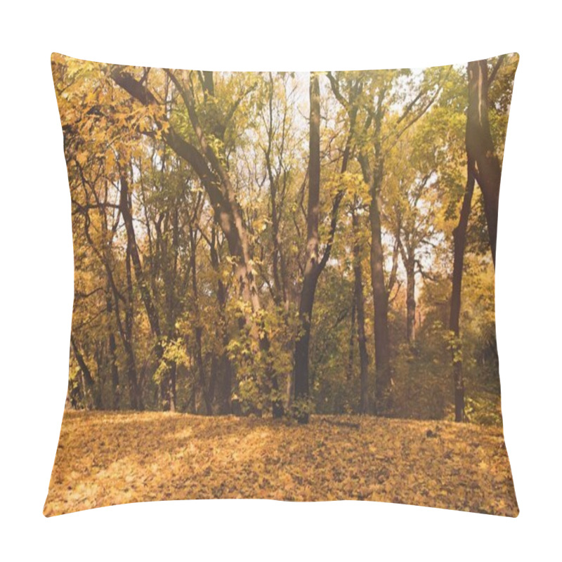 Personality  Autumn Forest Full Of Golden Trees Pillow Covers