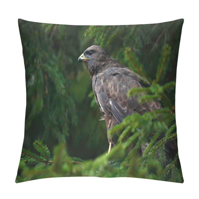 Personality  Wildlife Scene With Falcon Pillow Covers