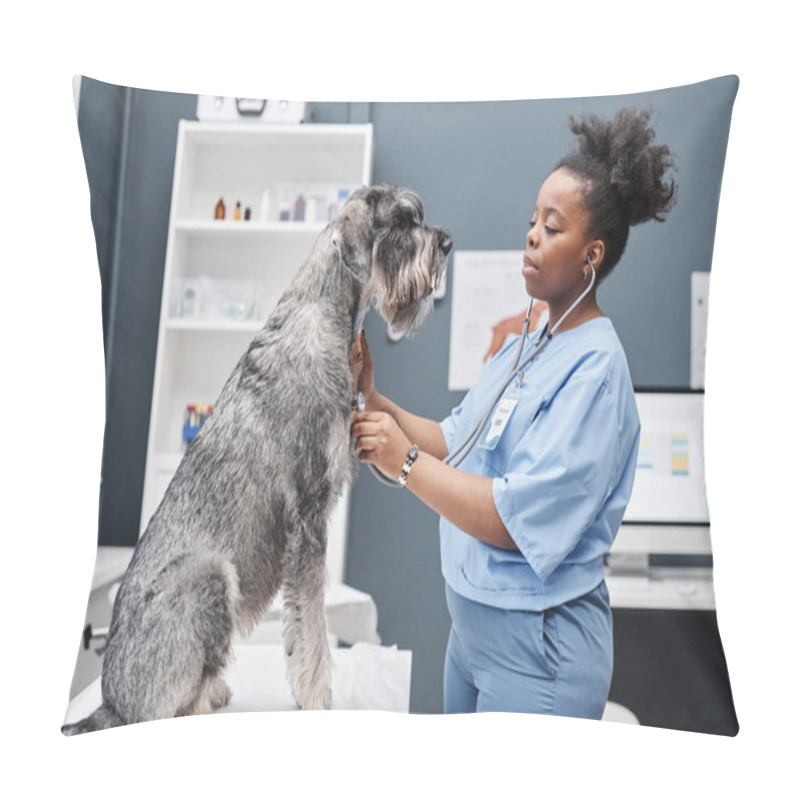 Personality  Side View Shot Of Big Salt-and-pepper Schnauzer On Examination Table And Female African American Veterinarian Listening To Dogs Heartbeat With Stethoscope Against Blue Wall In Vets Office Pillow Covers