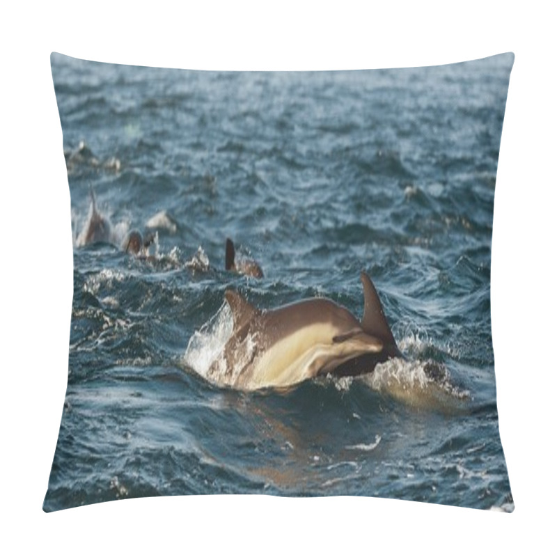 Personality  The Jumping Dolphins Comes Up From Water. Pillow Covers