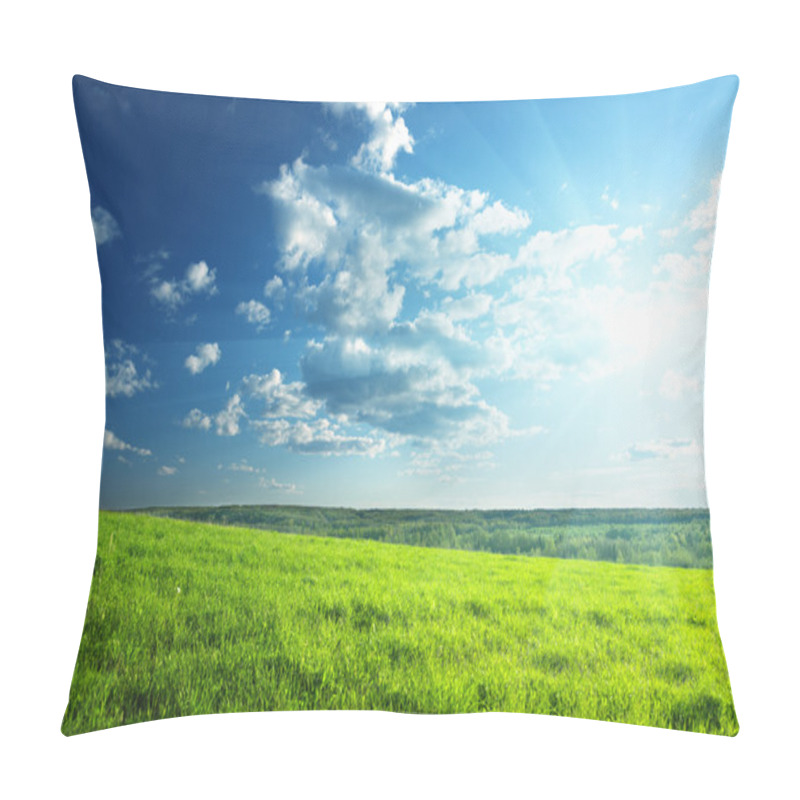 Personality  Field Of Spring Grass And Forest Pillow Covers