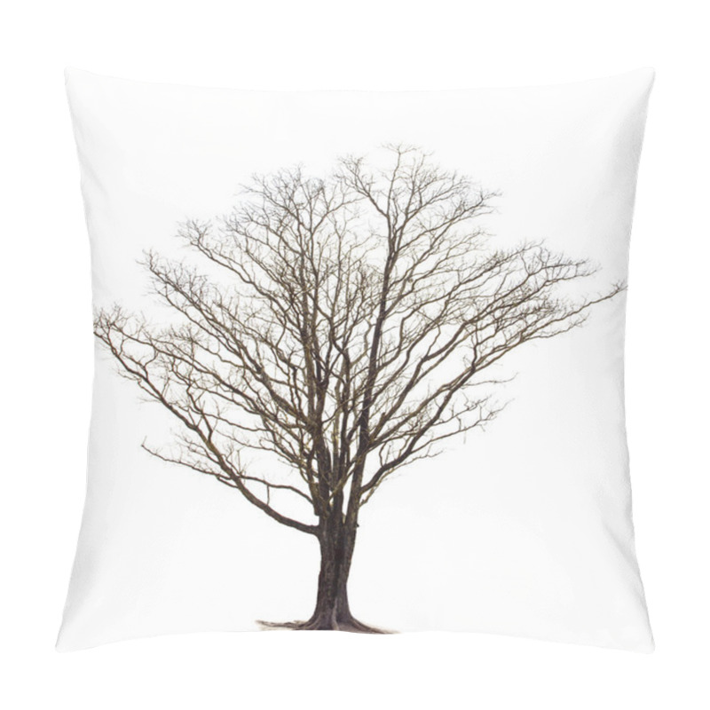 Personality  Out Line Of Dry Tree Branch Isolated White Background Use For De Pillow Covers