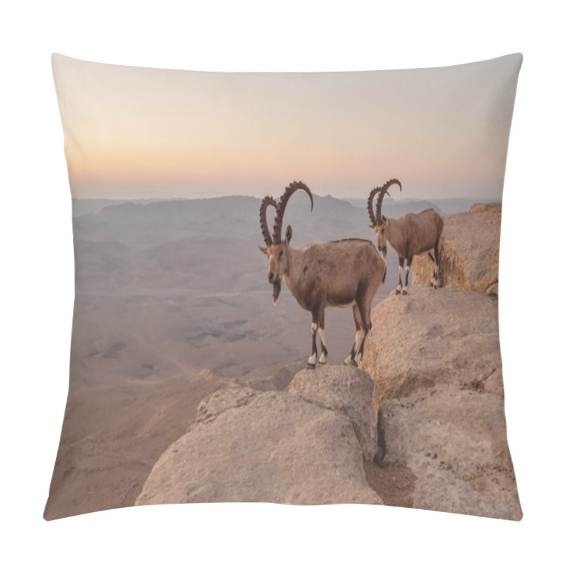 Personality  Two Ibexes On The Cliff At Ramon Crater In Negev Desert Pillow Covers