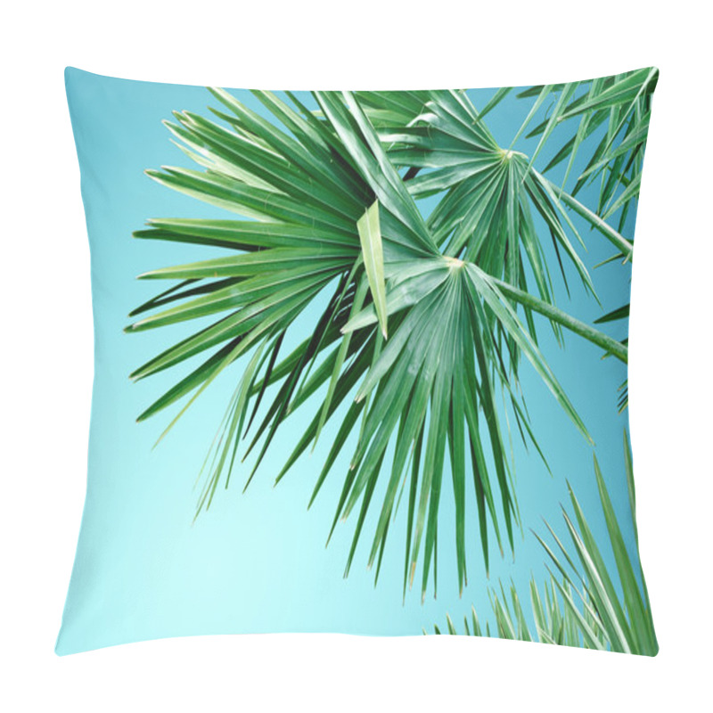 Personality  Tropical Palm Tree Background Pillow Covers