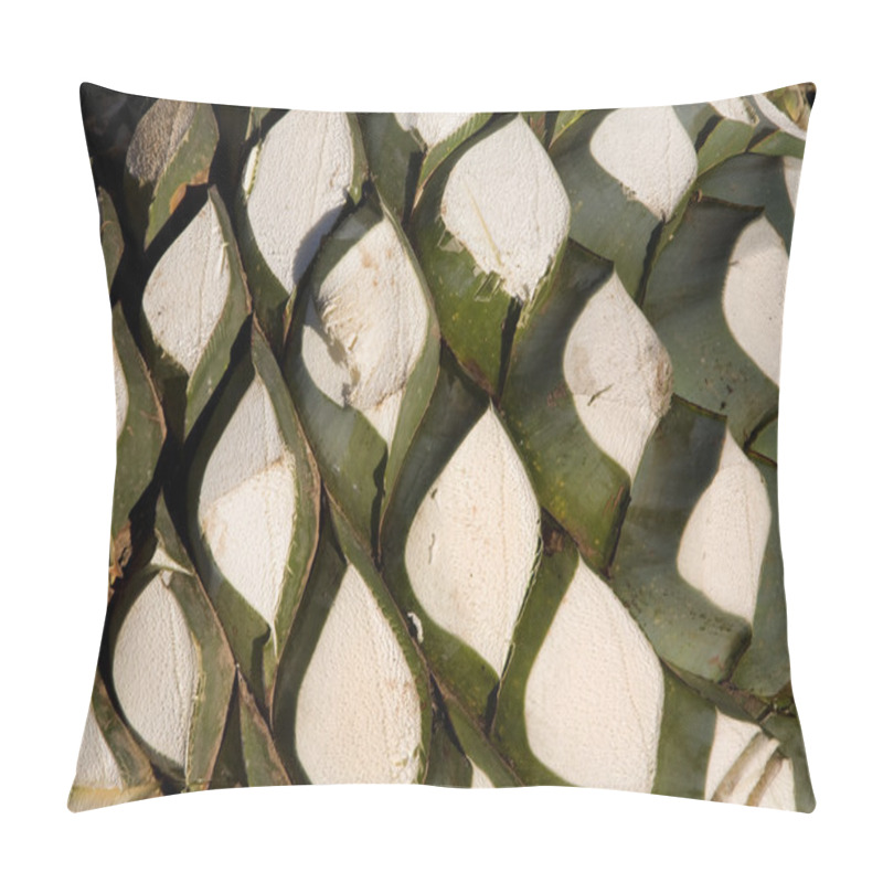 Personality  Agave Plant Used To Produce Tequila Pillow Covers