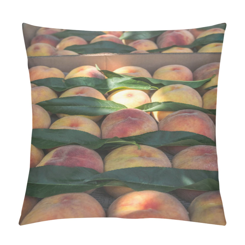 Personality  Fruit Pillow Covers