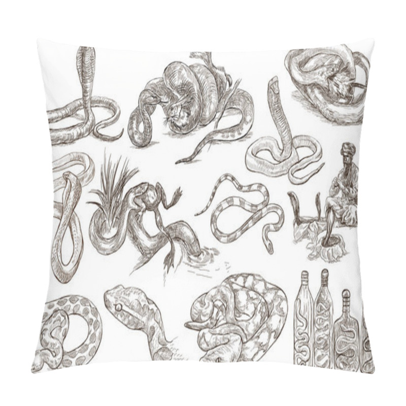 Personality  Animals Around The World. Snakes. An Hand Drawn Full Sized Pack. Pillow Covers