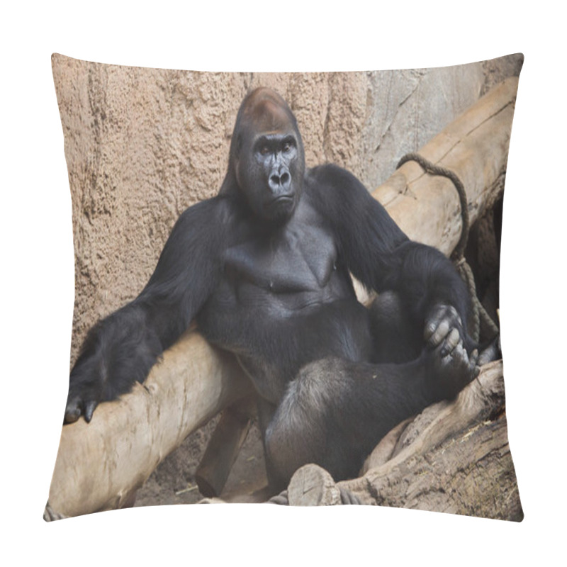 Personality  Western Lowland Gorilla Pillow Covers