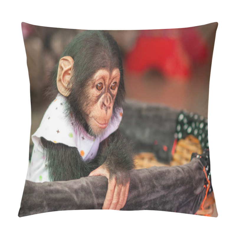 Personality  Baby Monkey Playing In Small Market At The Zoo. Pillow Covers