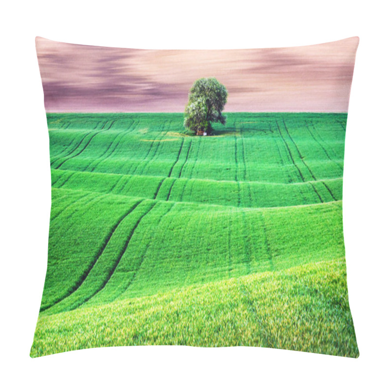 Personality  Rural Landscape With Field And Tree Pillow Covers