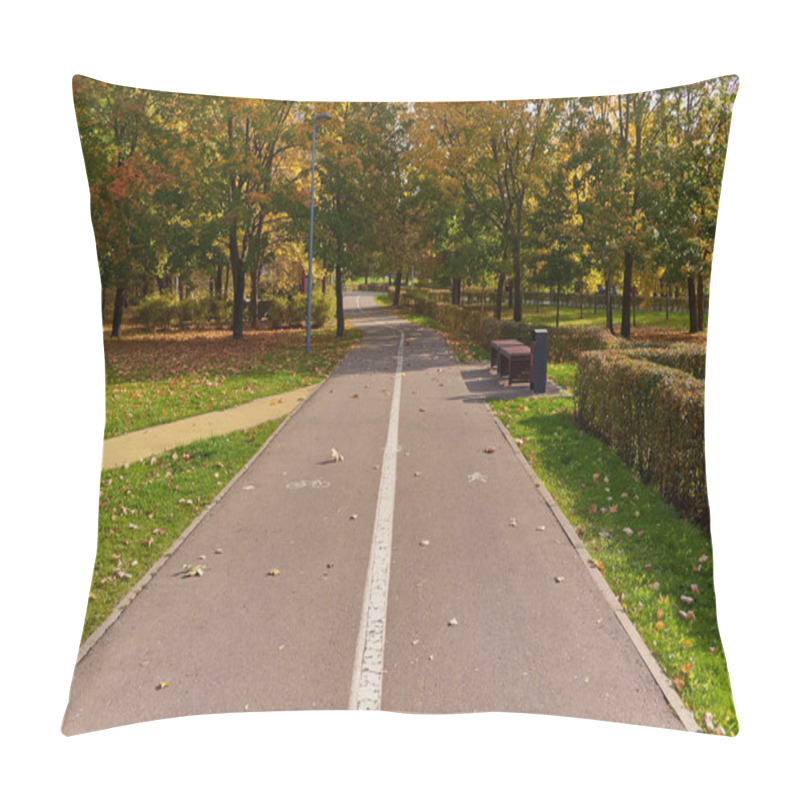 Personality  Paved Road In The Autumn Public Park,divided By Markings On The Bicycle And Pedestrian Parts. Pillow Covers