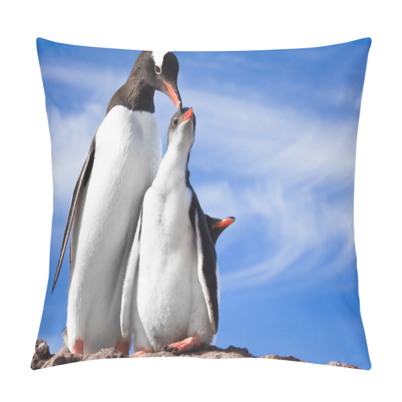 Personality  Two Penguins In Antarctica Pillow Covers