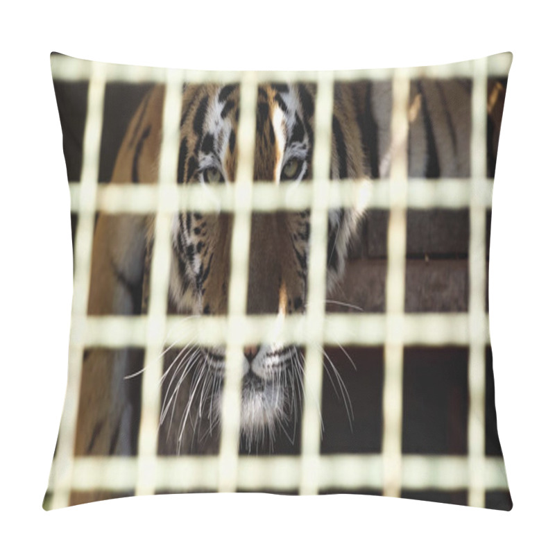 Personality  Tiger Looking At Camera Through Cage With Blurred Foreground  Pillow Covers