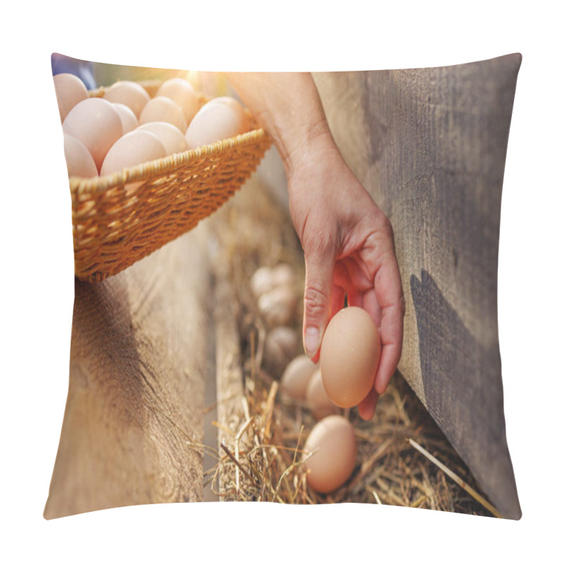 Personality  Man Holding Basket With Eggs, Holding Chicken Egg In Hand On Poultry Farm Background, Fresh Eggs Collection Pillow Covers