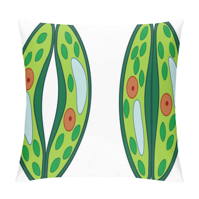 Personality  Guard Cells Of Stoma Pillow Covers