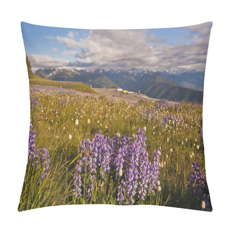 Personality  Hurricane Ridge, Olympic National Park, Washington, USA Pillow Covers