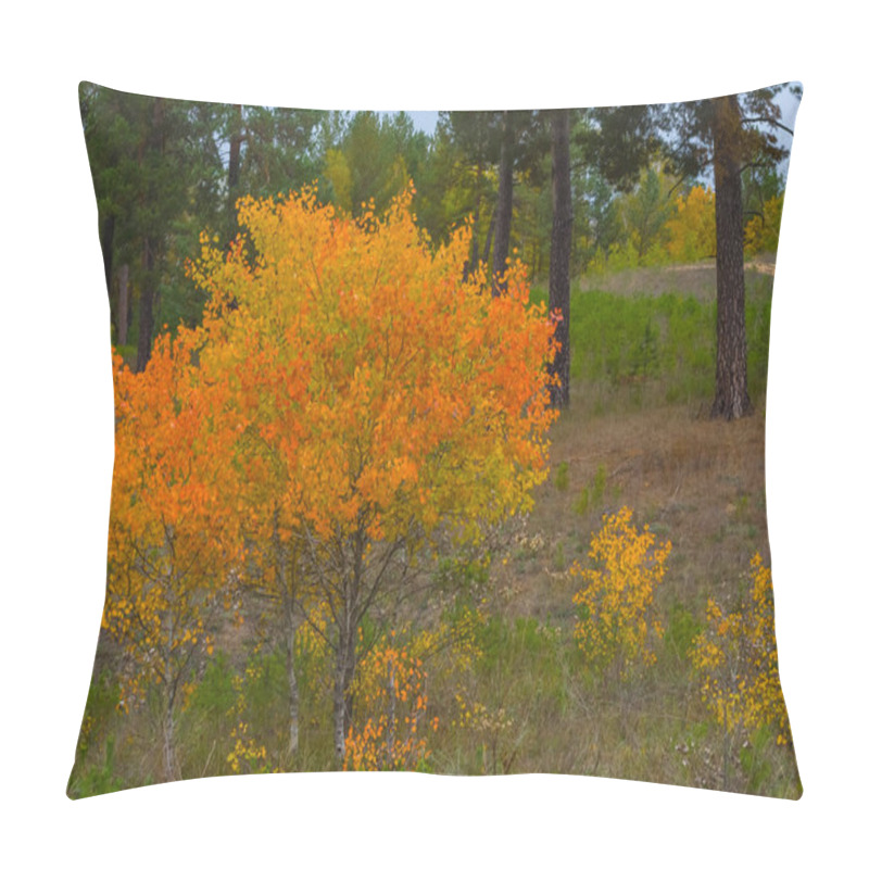 Personality  Red Aspen Tree In Autumn Forest Glade, Seasonal Natural Background Pillow Covers