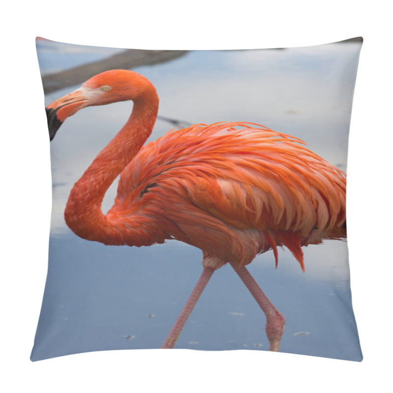 Personality  A Single American Flamingo Walking On The Pond Pillow Covers