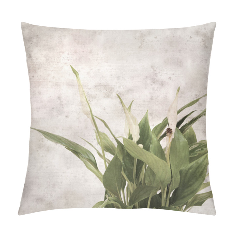 Personality  Textured Stylish Old Paper Background, Square, With Spathiphyllum, Peace Lily Pillow Covers