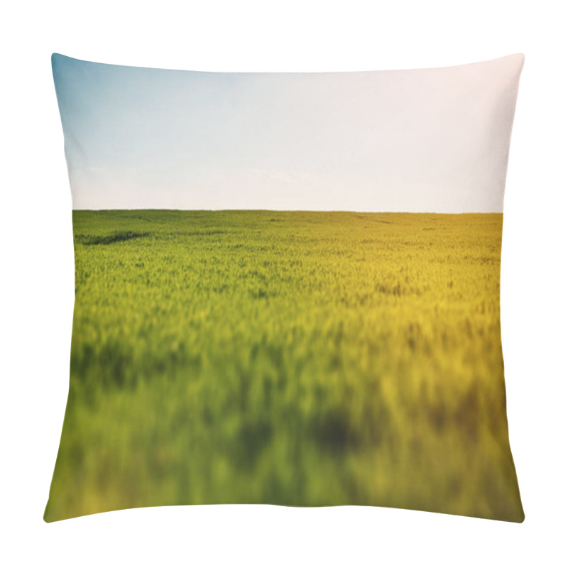 Personality  Meadow With A Sun On A Clear Sky. Pillow Covers