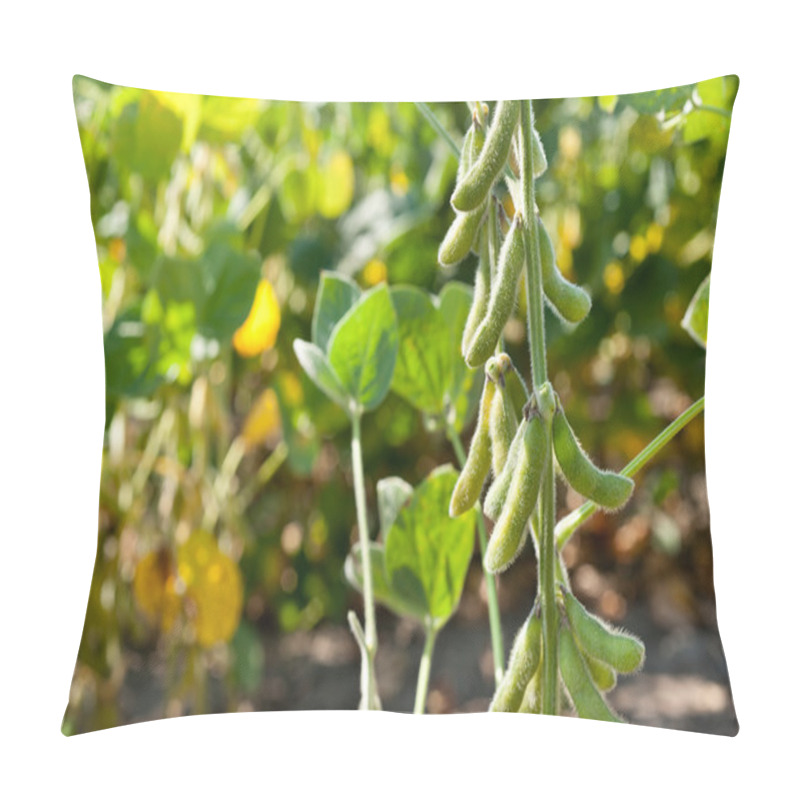 Personality  Gowth Soybeans Pillow Covers