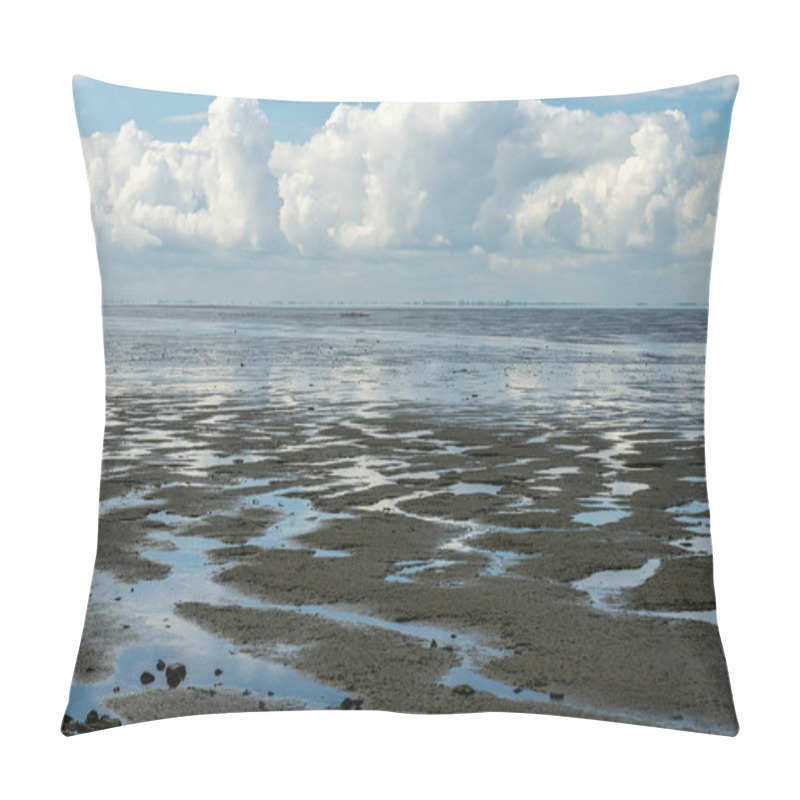 Personality  View On The Wadden Sea Of The North Sea At Low Tide Near Emden, Germany Pillow Covers