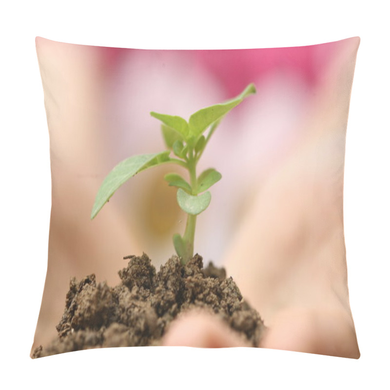 Personality  Growth Sapling Pillow Covers