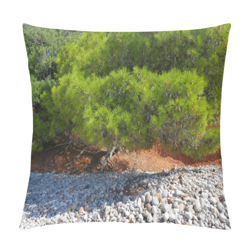 Personality  Pine Tree Leaning Towards The Beautiful Ververonda Beach Pillow Covers