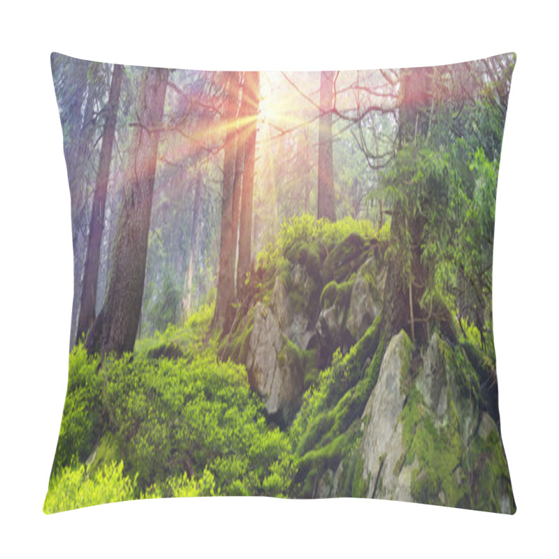 Personality  Magic Carpathian Forest Pillow Covers