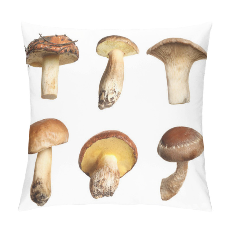 Personality  Set Of Different Fresh Mushrooms On White Background Pillow Covers