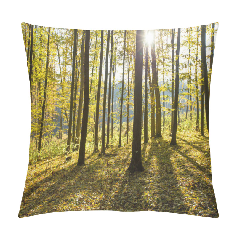 Personality   Autumnal Forest With Sunbeams Pillow Covers