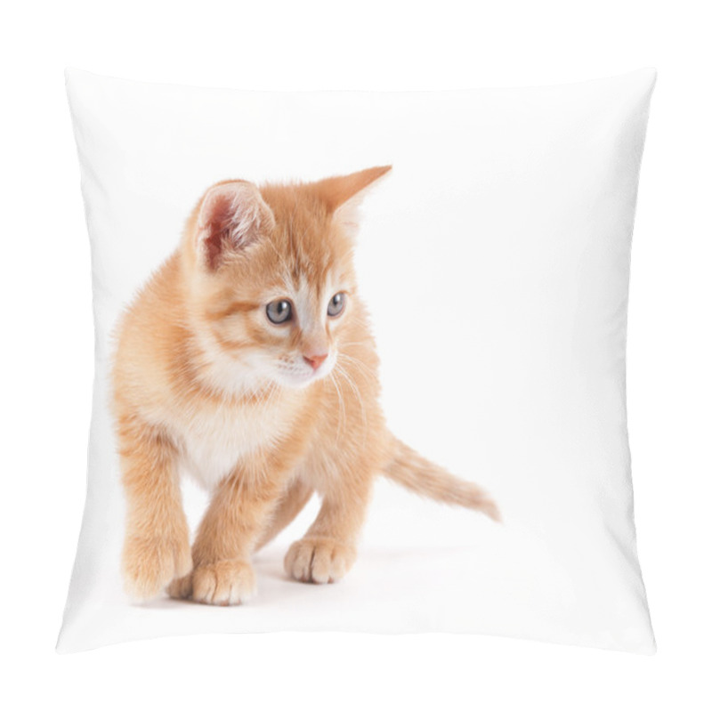 Personality  Cute Kitten Playing On White. Pillow Covers