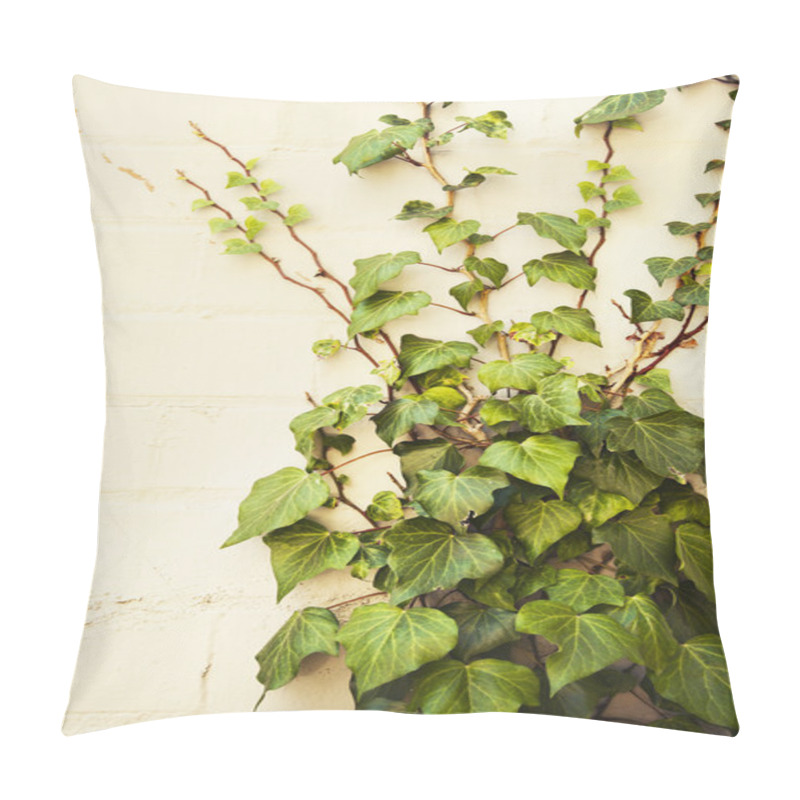 Personality  Bindweed Plant Pillow Covers