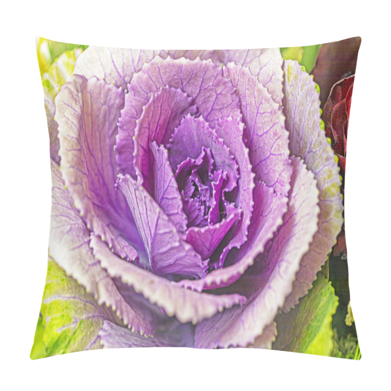 Personality  Close-up Lilac Beautiful Rose In A Basket. Wedding. Women's Day Pillow Covers