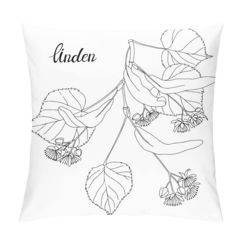 Personality  Linden Branch. Sketch.Hand Drawn Outline Vector Illustration, Isolated Floral Element For Design On White Background. Pillow Covers