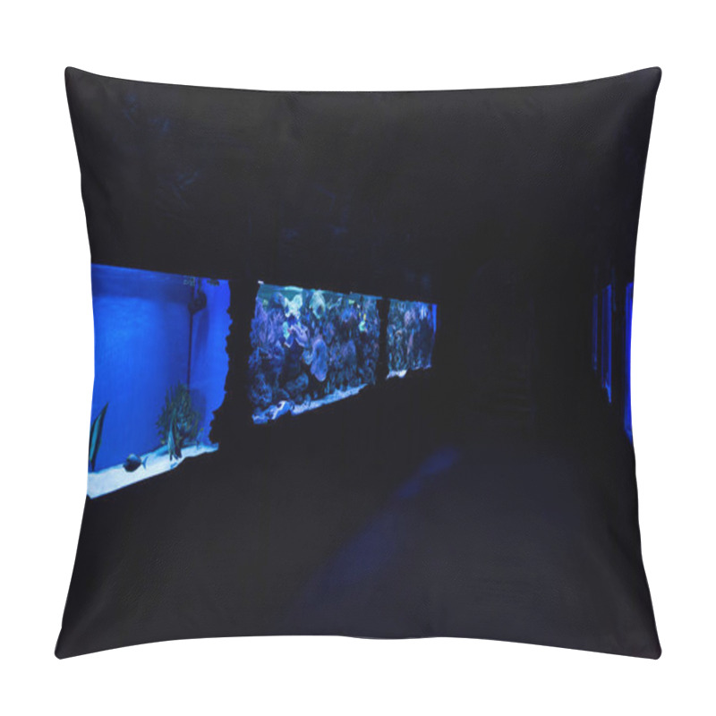 Personality  Fishes Swimming Under Water In Aquariums With Blue Lighting In Oceanarium Pillow Covers