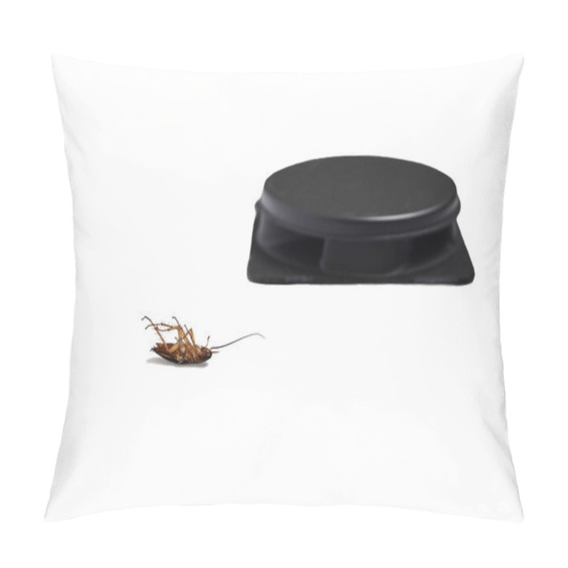 Personality  Dead Cockroach Lying Near A Trap Pillow Covers