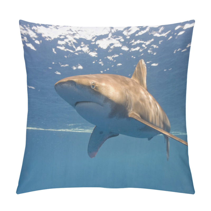 Personality  Marine Theme Wallpaper, Daylight Shot Pillow Covers