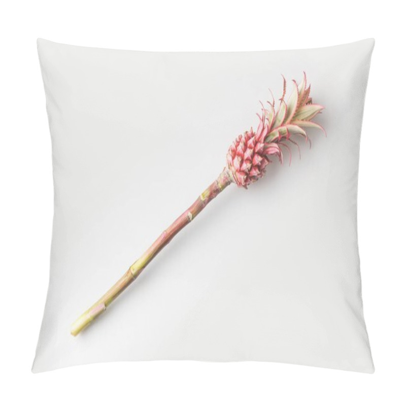 Personality  Pink Pineapple On Stem Pillow Covers