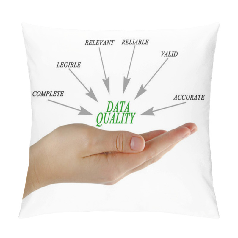 Personality  Diagram Of Data Quality Pillow Covers