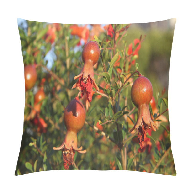 Personality  Mediterranean Flora: Pomegranate (Punica Granatum) Pillow Covers