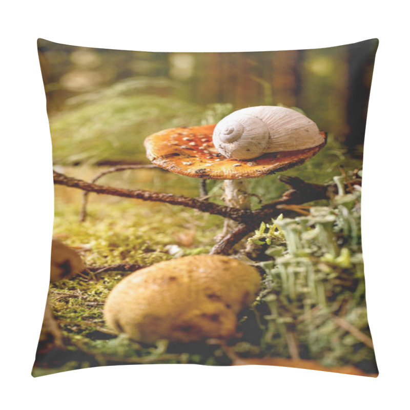 Personality  Fairy Tale Ambiance Magical Autumn Forest Background. Autumn Leaves, Moss, Wild Mushrooms, Snail Shell On Fly Agaric. Pillow Covers