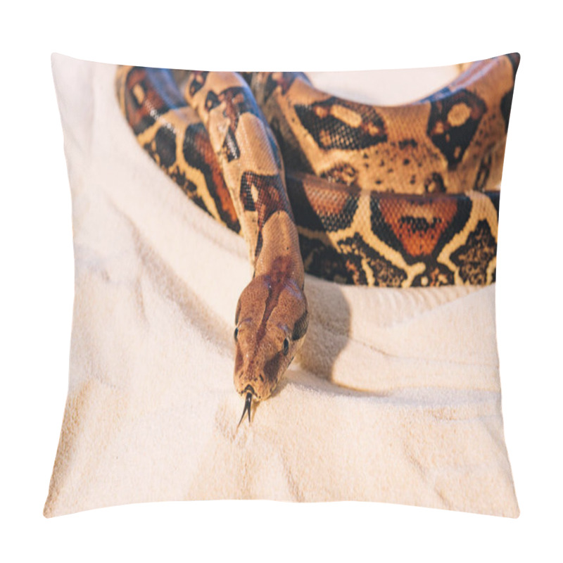 Personality  Selective Focus Of Python With Sticking Out Tongue On Sand Pillow Covers